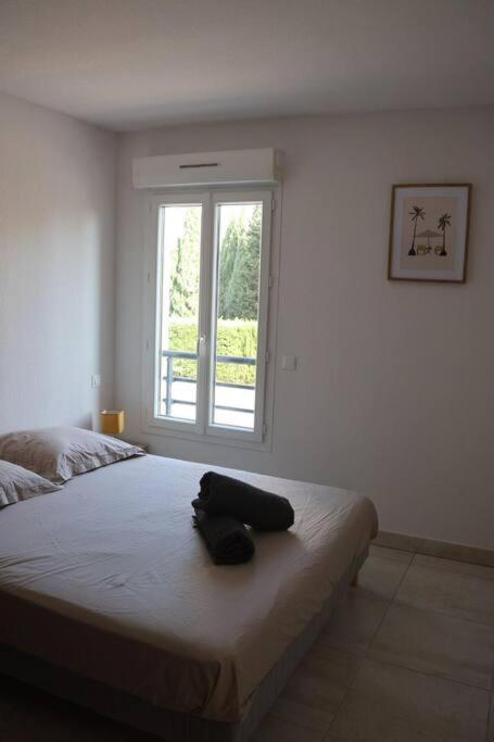 Suberbe Appartement Climatise Avec Terrasse Saint-Raphaël Exterior foto