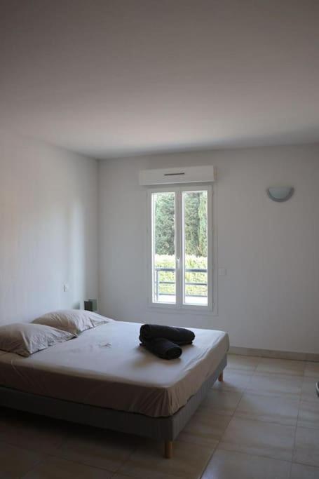 Suberbe Appartement Climatise Avec Terrasse Saint-Raphaël Exterior foto